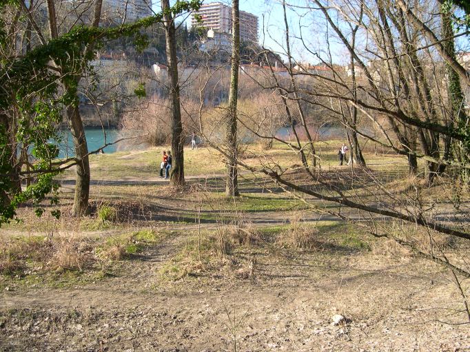  zone sauvage sur les berges du Rhône